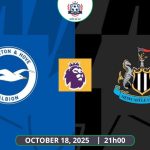 Nhận định Brighton vs Newcastle, 21h00 ngày 18/10 - Premier League