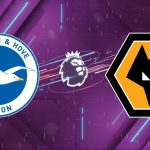 Nhận định Brighton vs Wolves, 21h00 ngày 09/05: "Chim mòng biển" mở tiệc